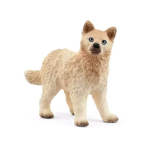 Cachorro de Lobo Ártico
